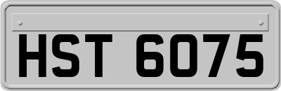 HST6075