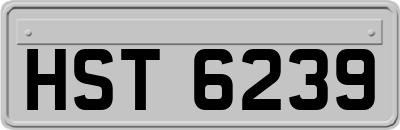 HST6239