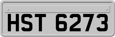 HST6273