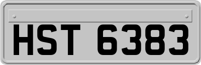 HST6383
