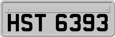 HST6393