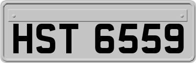 HST6559