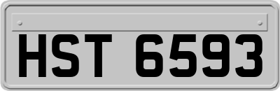 HST6593