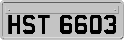 HST6603