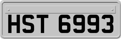 HST6993