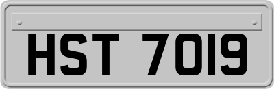HST7019