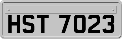 HST7023