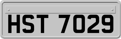 HST7029