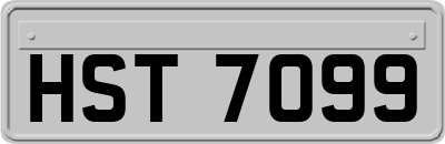 HST7099