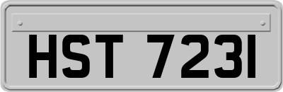 HST7231