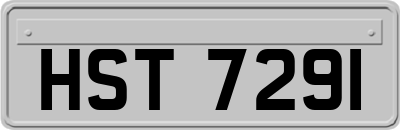 HST7291