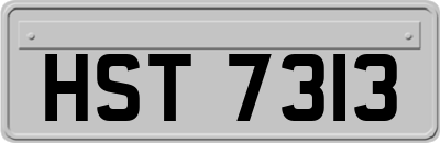 HST7313