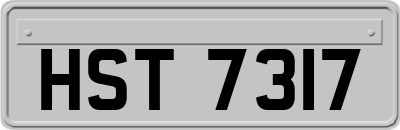 HST7317