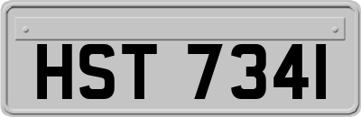 HST7341