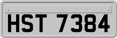 HST7384