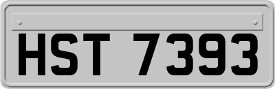 HST7393