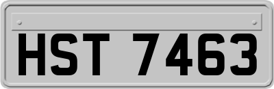 HST7463