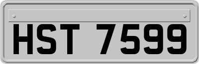 HST7599
