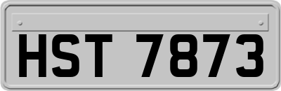 HST7873