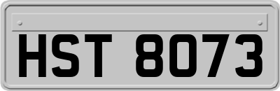 HST8073