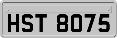 HST8075