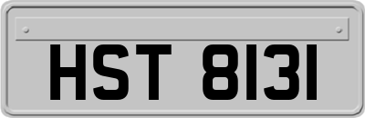 HST8131