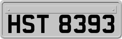 HST8393
