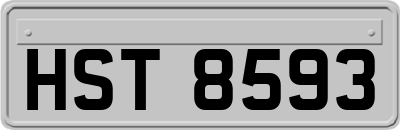 HST8593