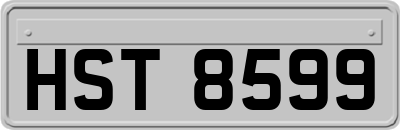 HST8599