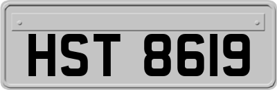 HST8619