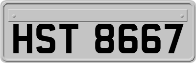 HST8667