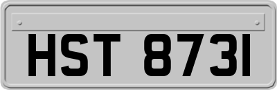 HST8731