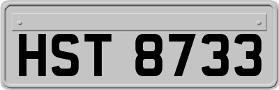 HST8733