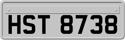 HST8738