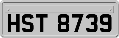 HST8739