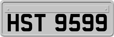 HST9599