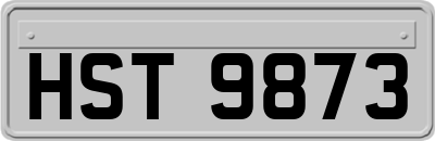 HST9873