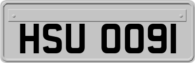 HSU0091