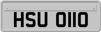 HSU0110