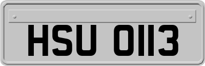 HSU0113