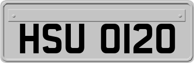 HSU0120