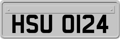 HSU0124
