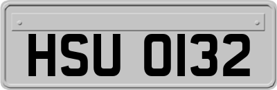 HSU0132