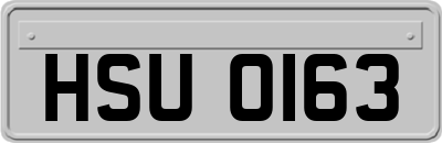 HSU0163