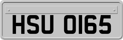 HSU0165