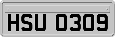 HSU0309