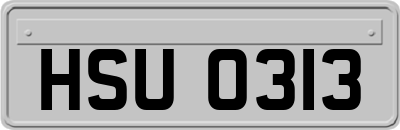HSU0313