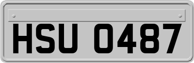 HSU0487