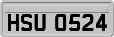 HSU0524