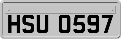 HSU0597